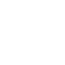 Logo Icon